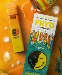 Fryd cactus cooler